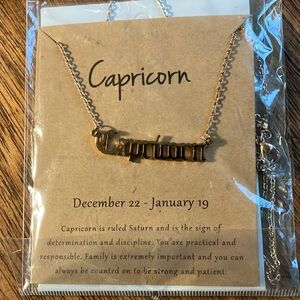 Pair of Gold‎ and Silver Capricorn Zodiac Astrology Necklaces with Dainty Chain